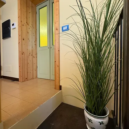 Apartman Il 
